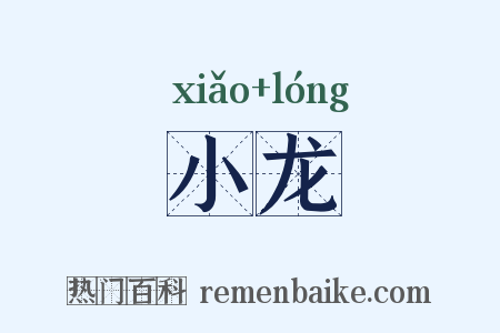 小龙是什么意思的图片